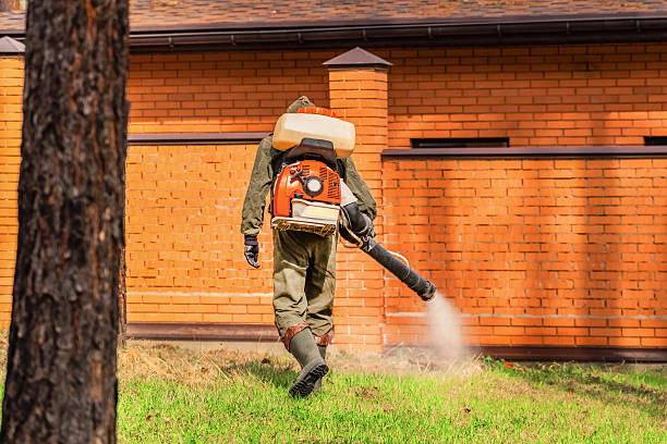 Bed Bug Clearance Verification and Documentation in Nettleton